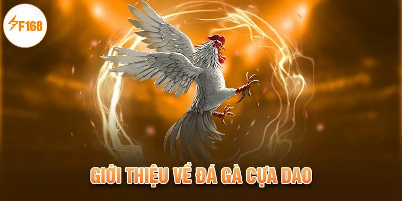 Kinh Nghiệm Đá Gà Cựa Dao F168 Trăm Trận Trăm Thắng 1 Giới thiệu về đá gà cựa dao