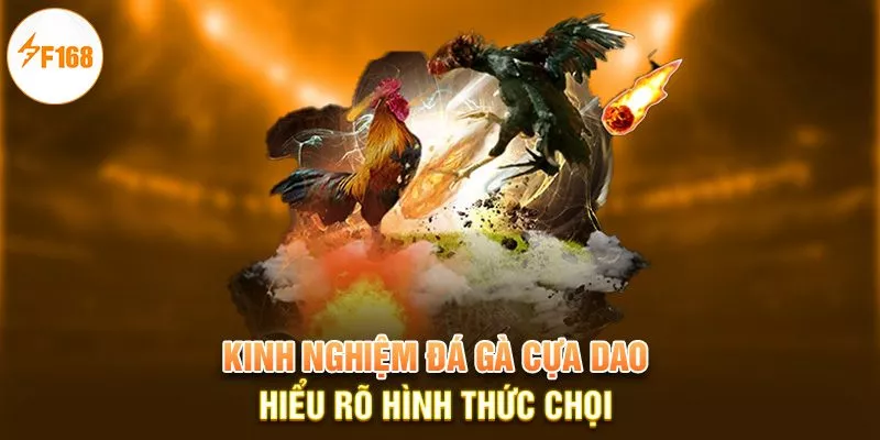 Kinh Nghiệm Đá Gà Cựa Dao F168 Trăm Trận Trăm Thắng 3 Kinh nghiệm đá gà cựa dao - hiểu rõ hình thức chọi